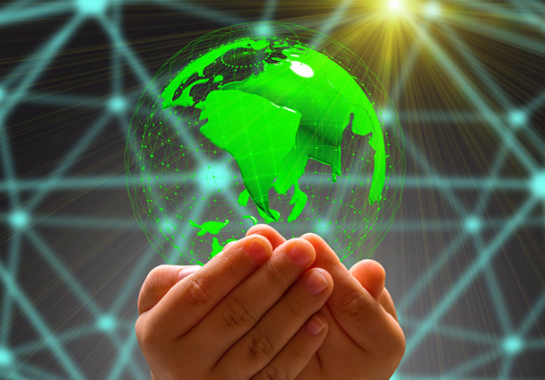 Google My Business Optimization