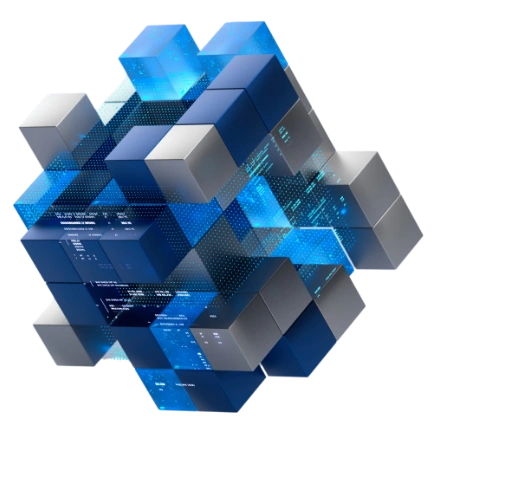 Digital Marketing & Ecommerce