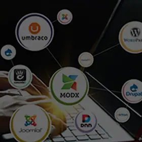 Comparison of 3 best Content Management System (CMS) platforms for startups