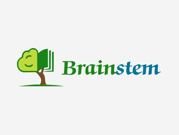 brainstem